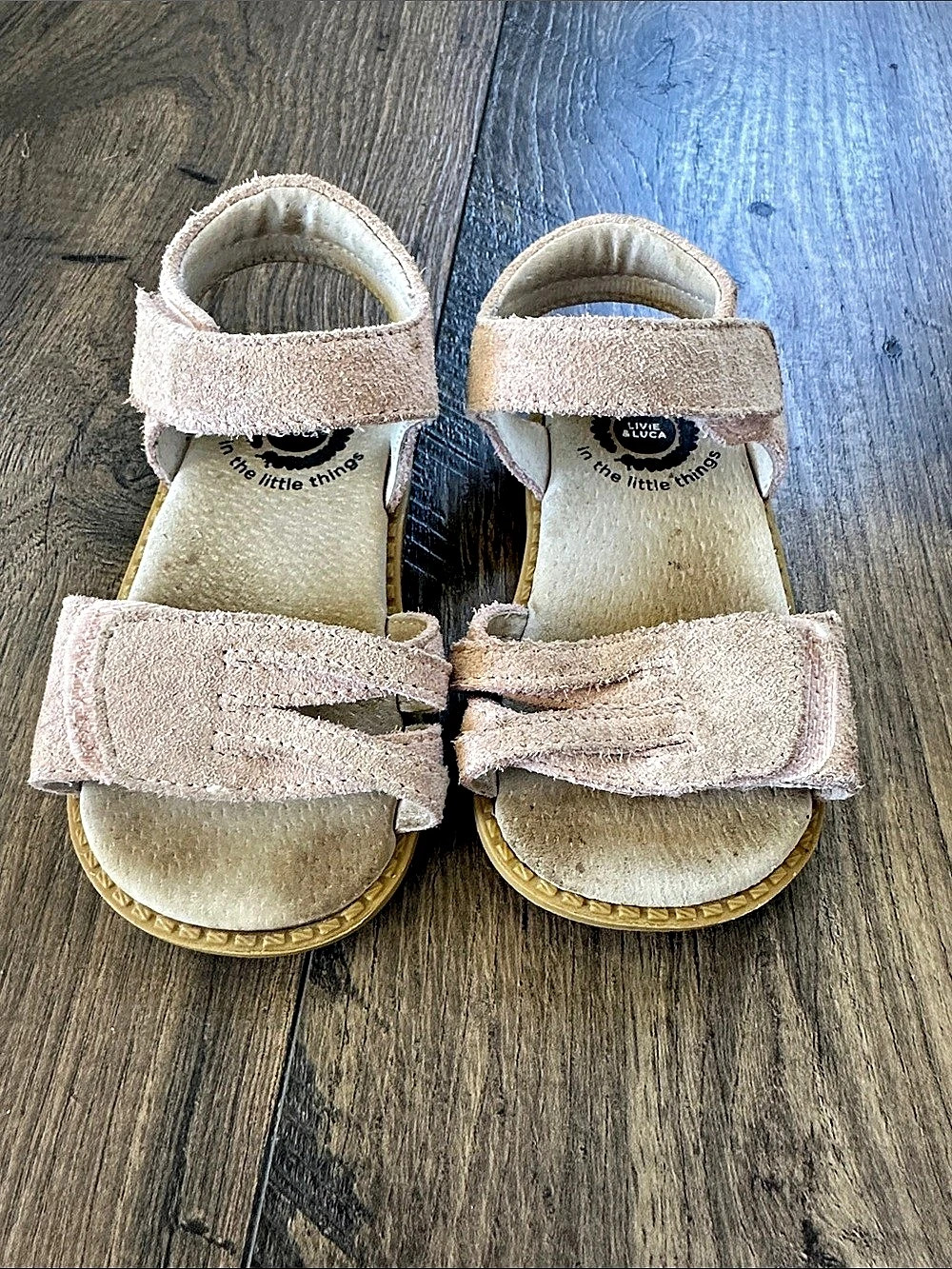 Toddler suede sandals - livie & Luca 6c